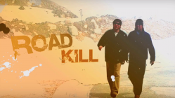 ROAD KILL