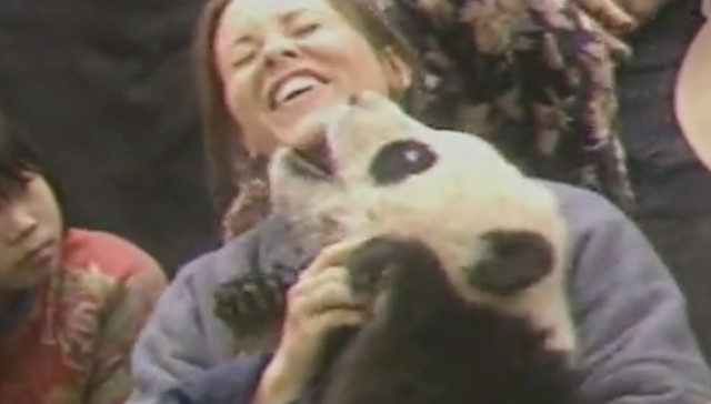 China: The Panda Adventure—Behind The Scenes EPK