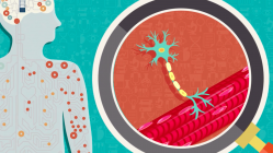 Augie's Quest--ALS Explainer Video